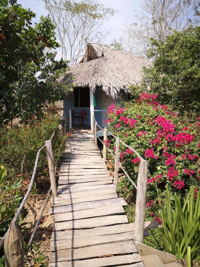 Cabanas La Mucura San Onofre Bagian luar foto