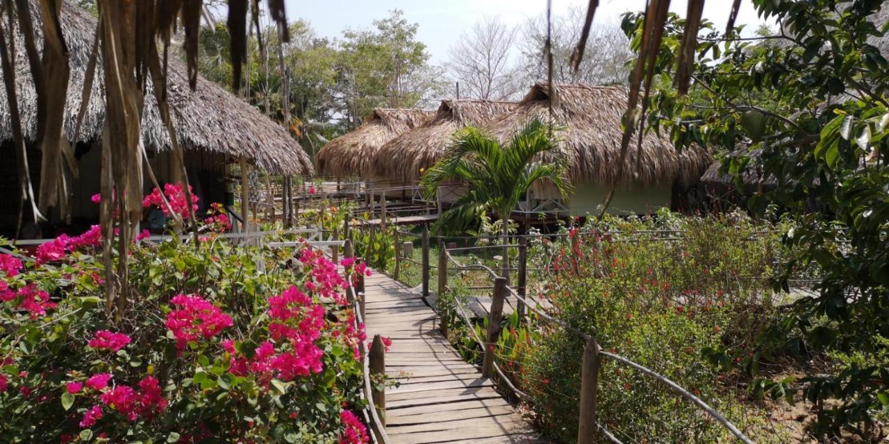 Cabanas La Mucura San Onofre Bagian luar foto
